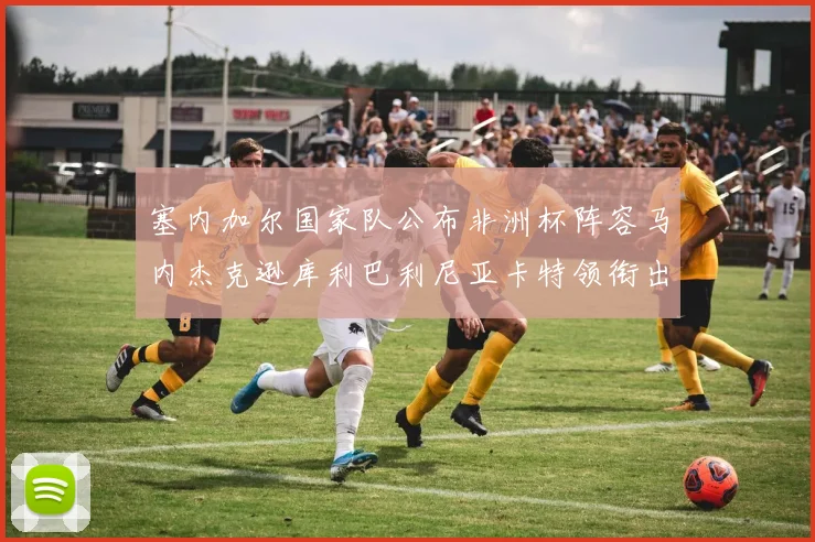 塞内加尔国家队公布非洲杯阵容马内杰克逊库利巴利尼亚卡特领衔出征