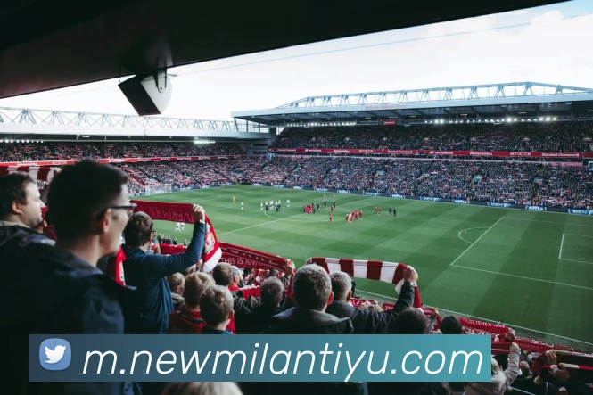 多媒体互动体验